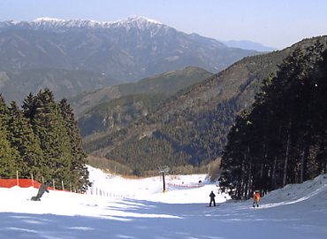 ����X�L�[��