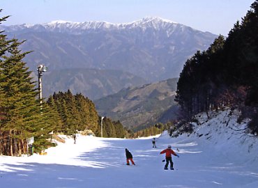 ����X�L�[��