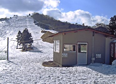 �V�獂���X�L�[��