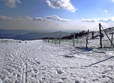 �V�獂���X�L�[��