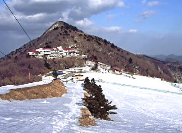 �V�獂���X�L�[��