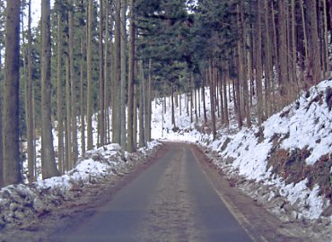 �r�R�@�X�L�[