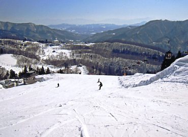 Asahi���R��