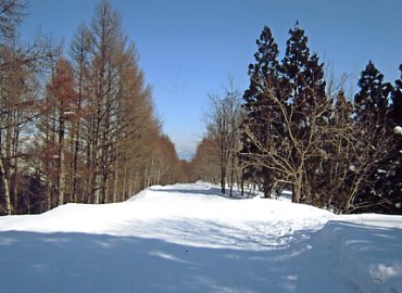 Asahi���R��