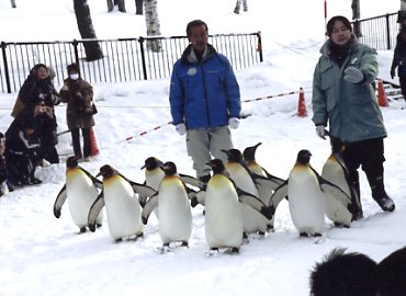 ���R������