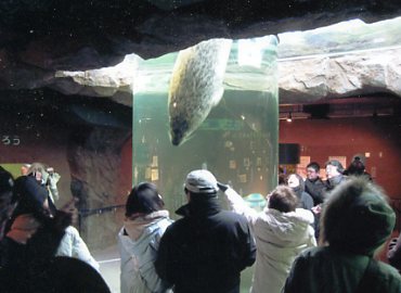 ���R������