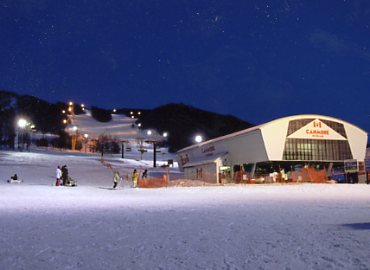 �L�������A