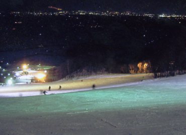 �L�������A