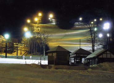 �L�������A