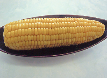 �a�����R