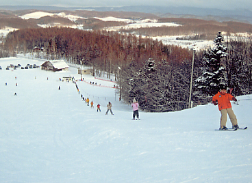 �����X�L�[��