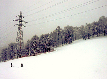 �m�ʎs�����X�L�[��