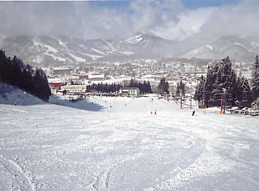 ���n�n�C�����h