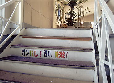 ���n�n�C�����h