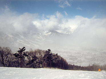 ���n�n�C�����h