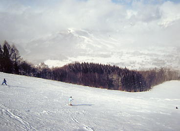 ���n�n�C�����h