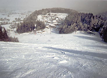 ���n�n�C�����h