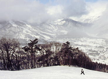 ���n�n�C�����h