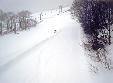 �T�����C�o