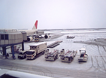 �T�����C�o