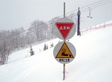 �T�����C�o