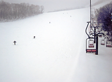 �T�����C�o