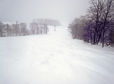 �T�����C�o