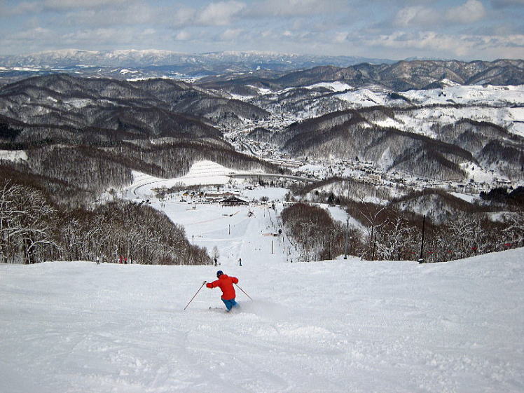 �������x���ۃX�L�[��