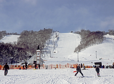 �������x