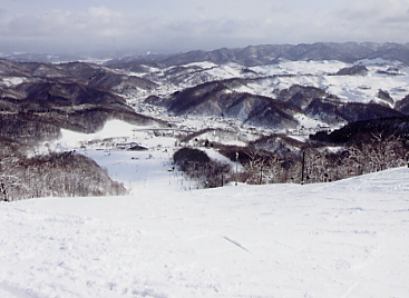 �������x