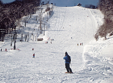 �������x