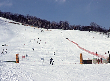 �������x