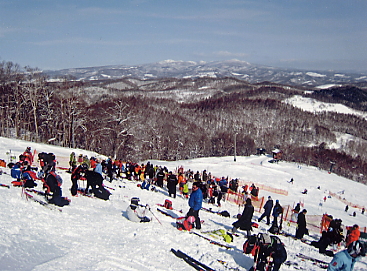 �������x