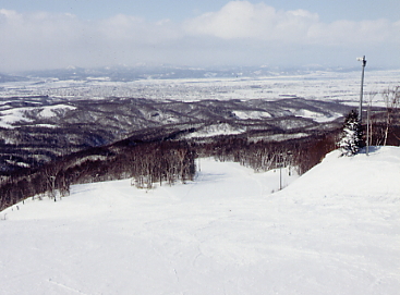 �������x