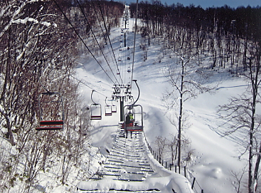 �������x