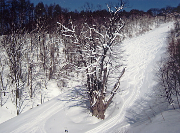 �������x