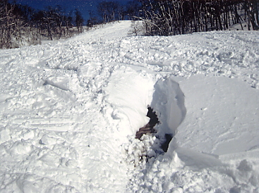 �������x