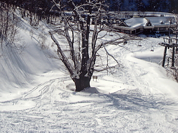 �������x