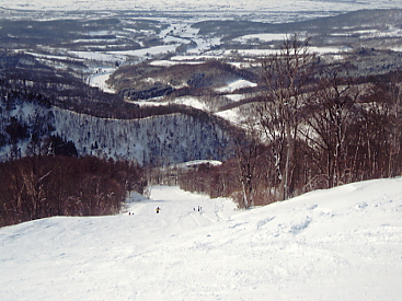 �������x