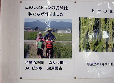 �������x