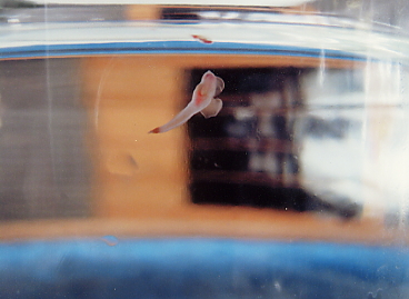 �������x