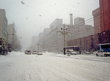 �������x