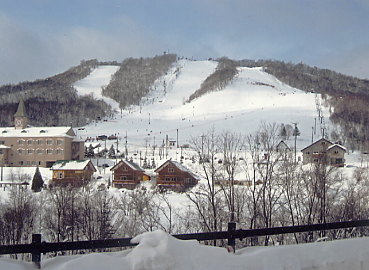 �������x