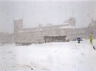 �D�y����