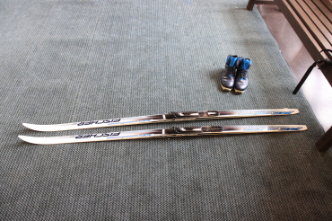 ノルディックスキー