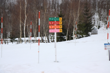 ノルディックスキー