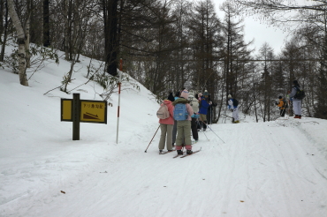 ノルディックスキー