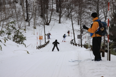 ノルディックスキー