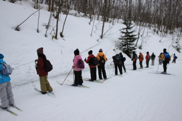 ノルディックスキー