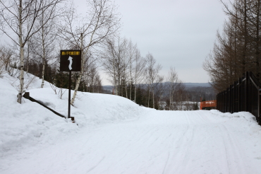 ノルディックスキー